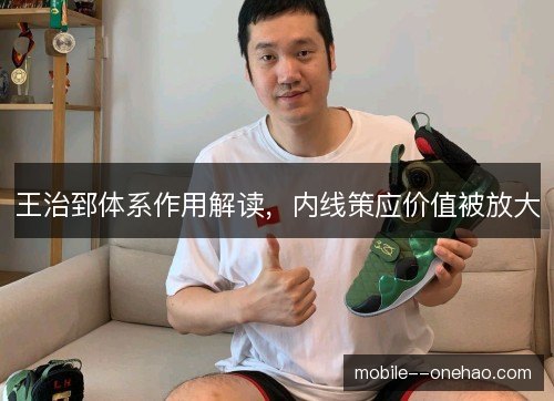 王治郅体系作用解读,内线策应价值被放大 王治郅体系作用解读,内线策应价值被放大